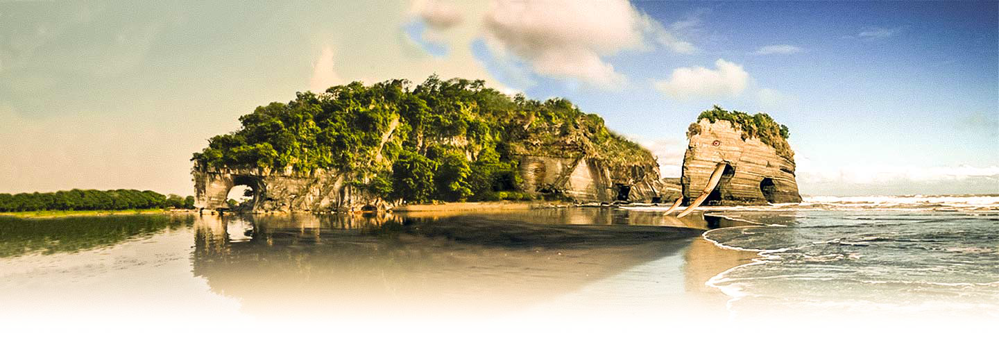 Elephant Rock NZ elephantrock